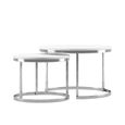 Selly Home Tables Basses de Salon - Table Basse Gigogne Industrielle - Petite Table Basse Scandinave - Table Gigogne - Argent-1