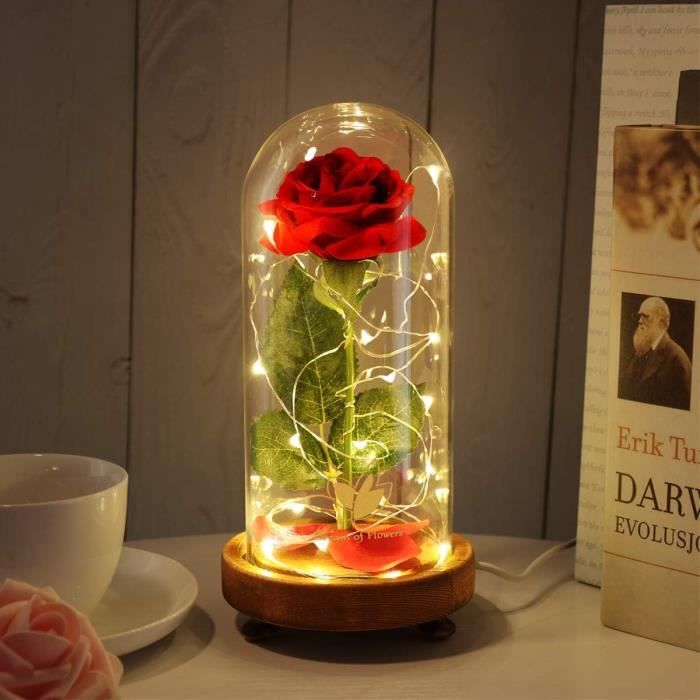 Rose éternelle Sous Cloche DIDUDE - Avec Lumière LED - Base Bois Et Dôme Verre - Cadeau Romantique