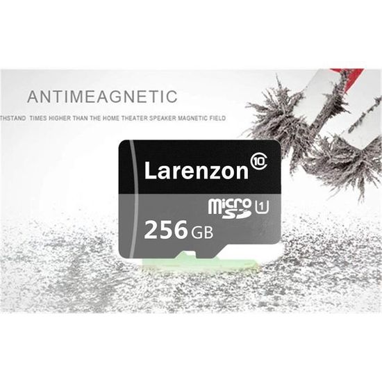 Carte M/émoire SD 256 Go Classe 10 256GO Larenzon Carte Micro SD 256 go Adaptateur SD FI50-HX