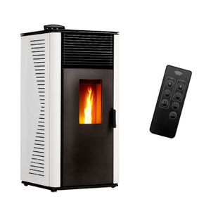 Ferroli Anselmo Cola Bougie d’allumage pour poêle à pellets, 350 W, 120
