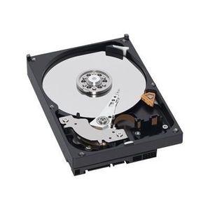Disque Dur Interne Western Digital 500Go Modèle WD5000LPVX d