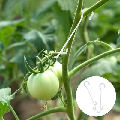 40 Pièces Crochets Support Tomates + Clips + Ficelle – Kit Complet Pour Tomates, Concombres, Vignes & Plantes Grimpantes