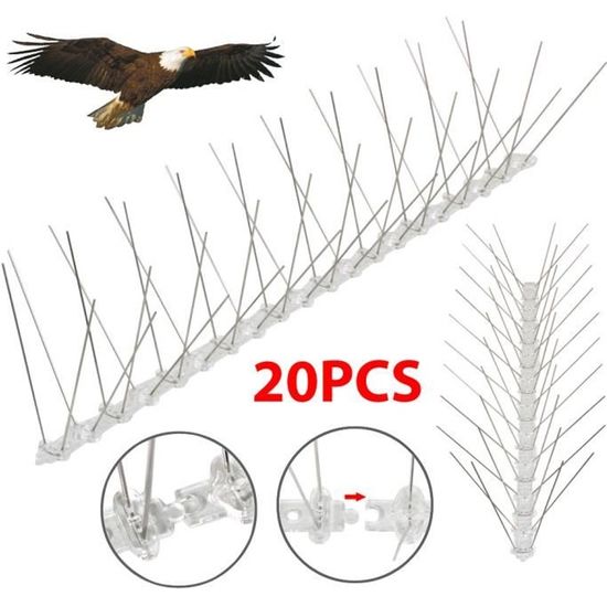 MD 10 Mètres 4 Rangées De Pics à Pigeons Polycarbonate Qualité