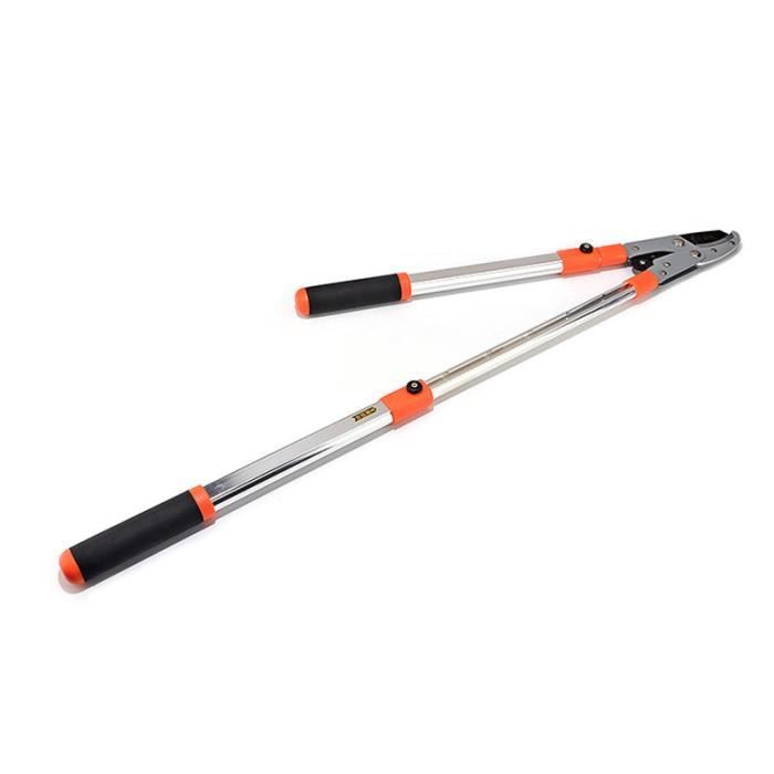 Coupe Branche Télescopable en Acier