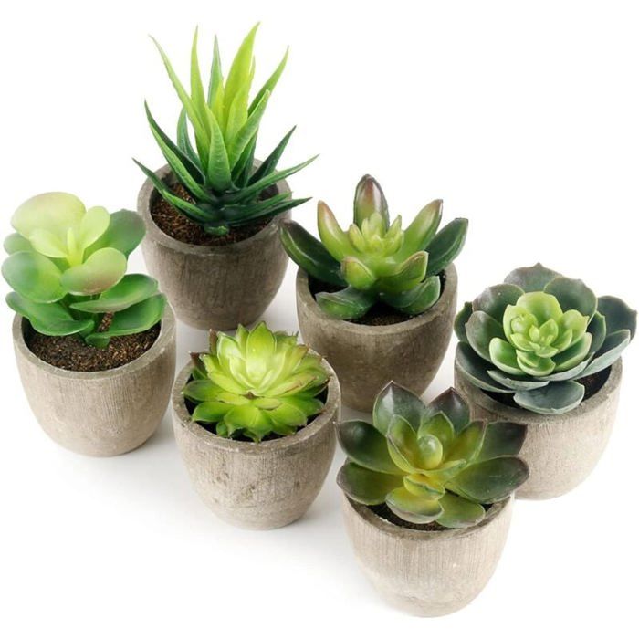 Plantes artificielles - LARGEIGHT - 6 pièces - Pot gris - Intérieur - Succulentes décoratives