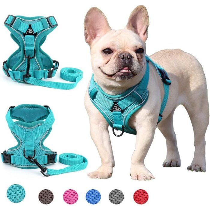 Meilleurs prix pour Harnais pour chien de petite et moyenne taille (vert S)