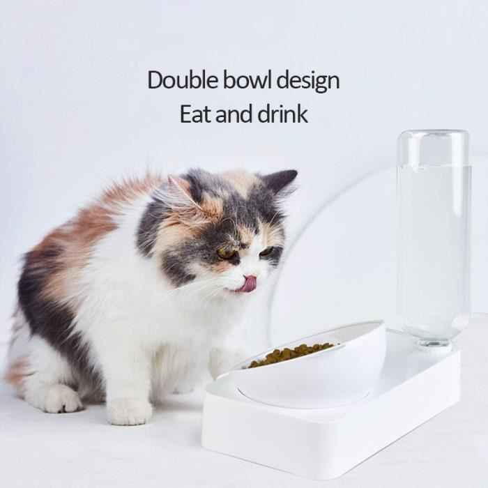 2 En 1 Bol D Alimentaire Chien Chat Fontaine D Eau Pour Chat Chien Distributeur Automatique Aliments Et Eau Pour Chien Et Chat Achat Vente Fontaine A Eau Cdiscount
