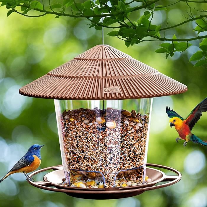 Lot de 2 mangeoires pour oiseaux sauvages à suspendre pour petits oiseaux,  mangeoire d'arachide, mélanges de graines, mangeoire à oiseaux en forme de  cœur avec 2 crochets : : Jardin