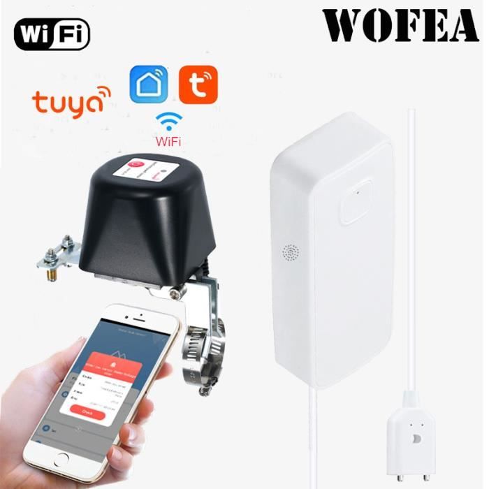 Tuyau de Gaz Flexible avec Détecteur de Fuite de Remplacement pour Barbecue, Cuisinière, Chauffage, Foyer et Plus, Tuyau de Propane, Raccords Acme à QCC/POL Mâle