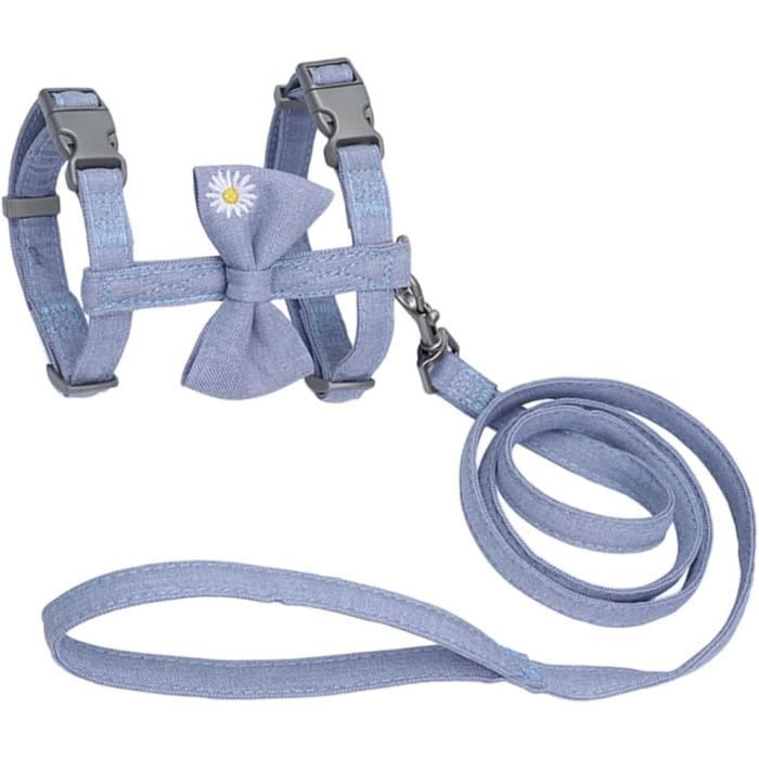 Collier De Laisse Pour Chat Collier De Chiot Colliers De Chien Pour Chiots Harnais Pour Chiots
