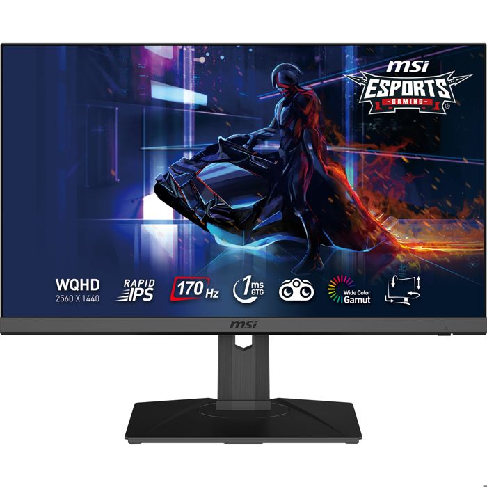 MSI G272QPF Écran PC Gaming 27" WQHD Dalle Rapid IPS 2560x1440 170Hz / 1ms 16:9 G Sync Compatible DisplayPort 1. HDMI 2.0b
