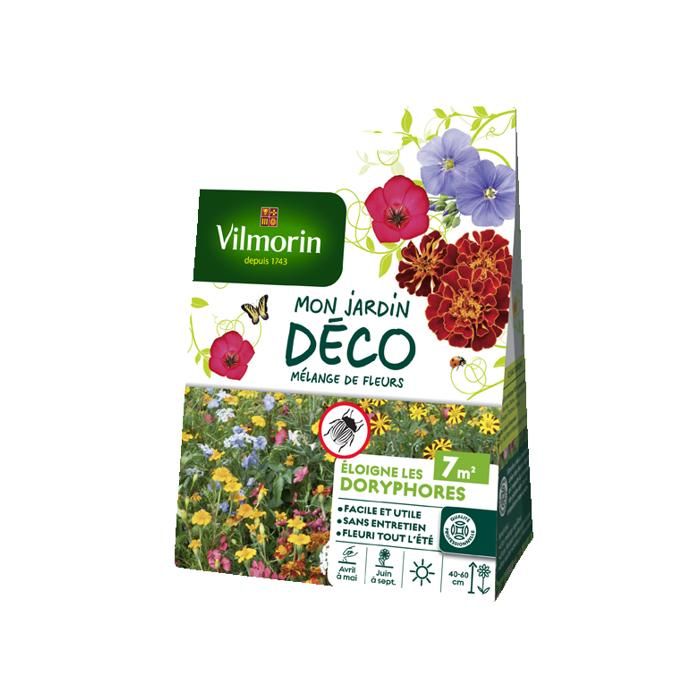 35 Graines de Jasmin de Virginie Bignone Méthode BIO fleur Mellifère grimpante