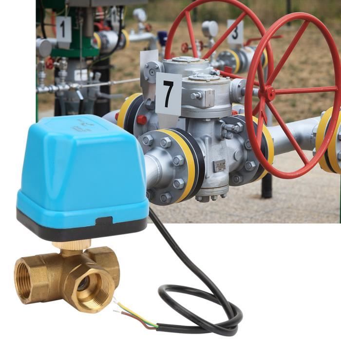 RobiNet à Boisseau Sphérique Motorisé 1/2" DN15 - 220V AC, Acier Inox, Retour Automatique, Normalement Fermé