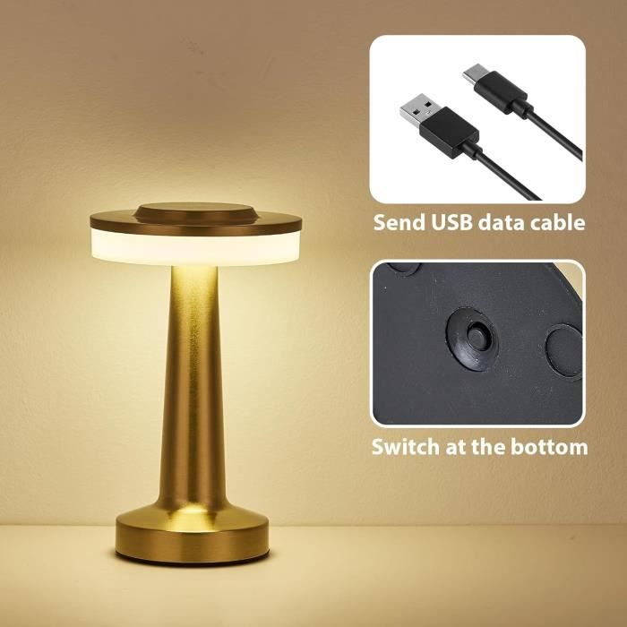 Lampe De Table Sans Fil Usb Rechargeable, 3 Couleurs Luminosité, Tactile  Dimmable 2700-6000K Métallique Led (Argent 1)[Z288] - Cdiscount Maison