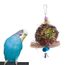 Saule Branche Boules De Rotin Oiseau Perroquet à Croquer Jouets Cage à Oiseaux Suspension Ornement Pour Petits Animaux