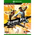 Cobra Kai : The Karate Kid Continues Jeu Xbox One-0