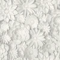 Dimensions Papier Peint Floral Blanc Fine Decor FD42554