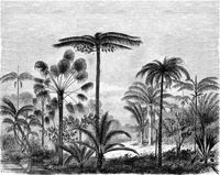 papier peint panoramique paysage tropical avec des palmiers noir et blanc - 3,5 x 2,79 m - 158952