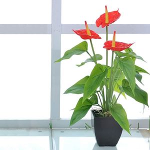FLEUR ARTIFICIELLE Plante Artificielle Calla Anthurie - Flamant Rose 