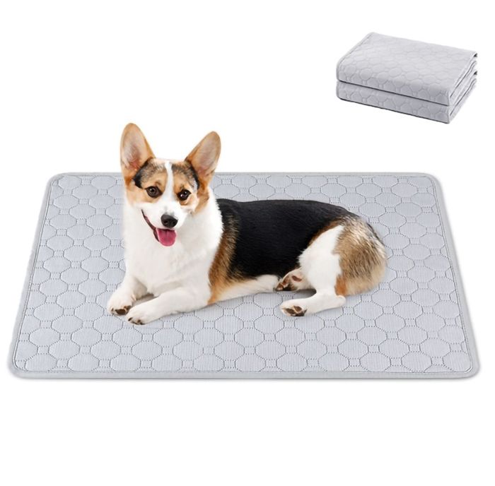 Meilleurs prix pour 2Pcs Tapis Educateur pour Chien Chiots 60x45cm Tapis Ultra Absorbant Lavable Réutilisable Hygiénique d’Entraînement