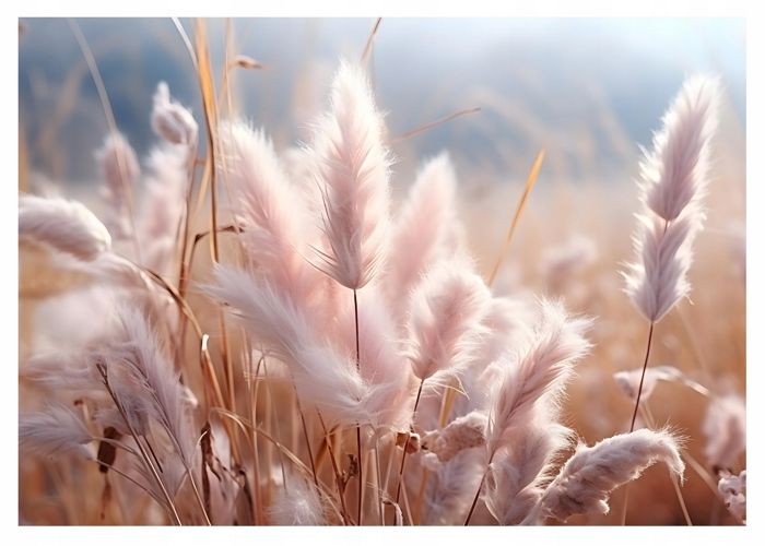 Papier Peint Herbe De La Pampa Dans Les Tons Beiges Nr. W09126