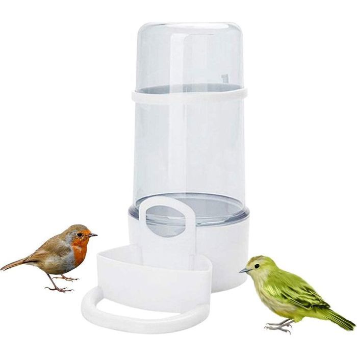Distributeur dEau et Mangeoire Automatique pour Cage à Oiseaux - pour Oiseaux Sauvages