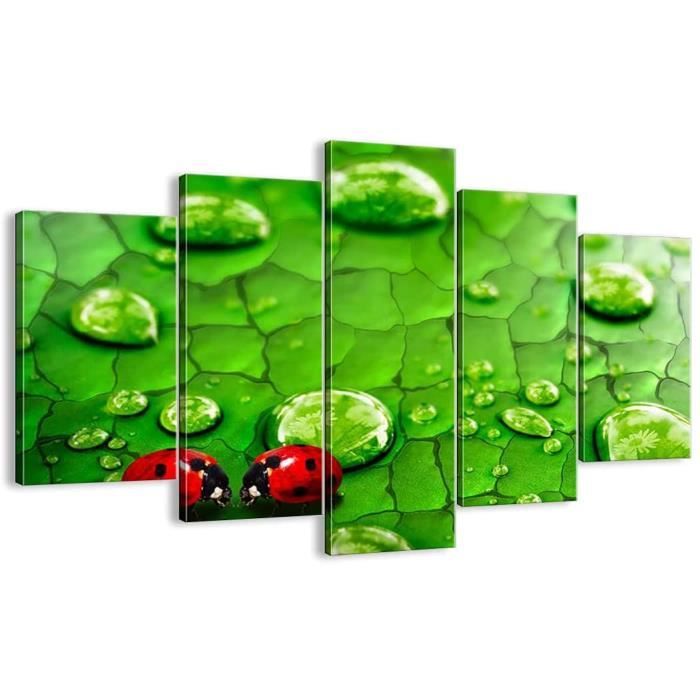 Tableau - Coccinelles herbe feuille goutte - Impression sur toile