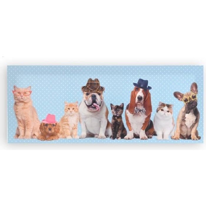 Cadre Toile Tableau Chien Et Chat Animal Humour Humoristique 50 X Cm Cdiscount Maison