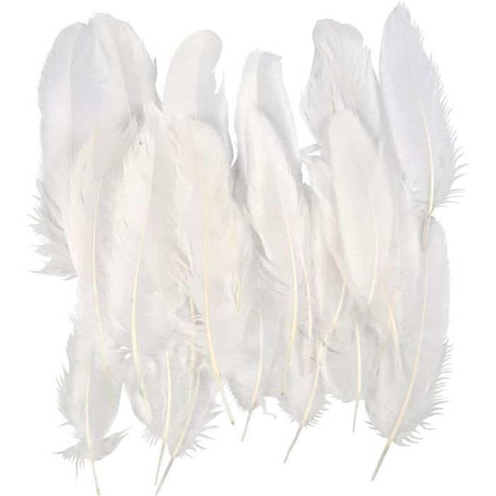 noir Lot de 10 plumes d’autruche Creny de 30 à 35 cm pour décoration d’intérieur ou mariage