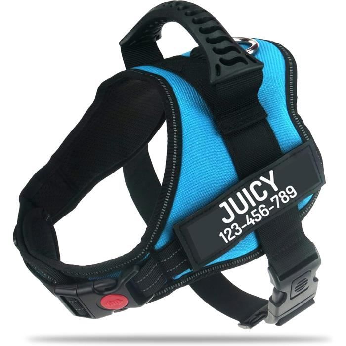 Harnais Anti-Traction Pour Chien De Taille Moyenne, Imperméable Avec