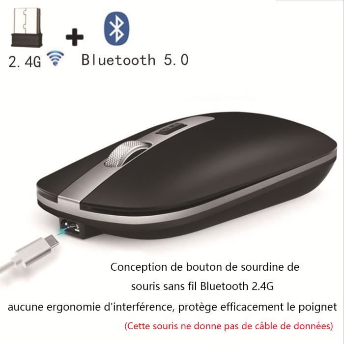 Souris Sans Fil Bluetooth, Souris Sans Fil Double Mode 5.0 + 2.4G  Silencieuse, Mini-Souris Rechargeable Fine et Légère （Noir) - Cdiscount  Informatique