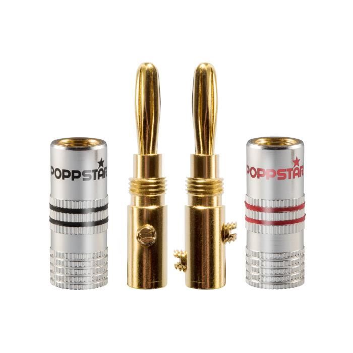 fiche-banane-pour-les-c-bles-4-mm-carr-vissage-6-mm-carr-soudure