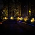 Guirlande lumineuse 20LED Lampe extérieur étanche solaire alimenté cerisier lumière pelouse pour jardin cour paysage (lumière-2