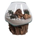 EBUY24 San Marino goutte d'eau h15-20 cm teck.