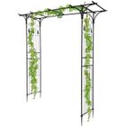 BRAND Arche de jardin pour Plantes Grimpantes et Rosiers 206 x 40.5 x 208 cm-Fer-Noir