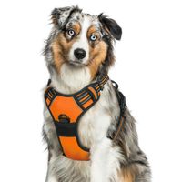 Harnais Chien/Harnais pour grand chien- Orange taille L -- Anti Traction Réglable Réfléchissant Matériau Respirant