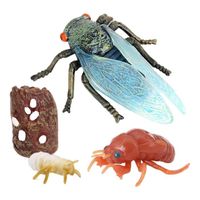 Insectes Cigale Lore Coccinelle Vie Cycle - 4 Pièces Insectes Figure Montre La Vie de Lady Bug