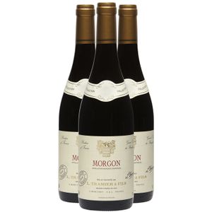 VIN ROUGE Maison Tramier Morgon 2022 - Vin Rouge du Beaujola