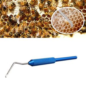 perfk Disque dEntr/ée de Nid dabeille Outils dApiculture