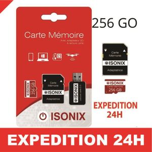CARTE MÉMOIRE Carte Micro-SD 256 Go classe 10 au Formate SDXC/SD
