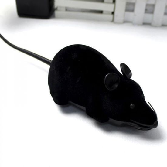 Jouet Chat Noir Blanc Drole Chat Souris Jouet Sans Fil Rc Gris
