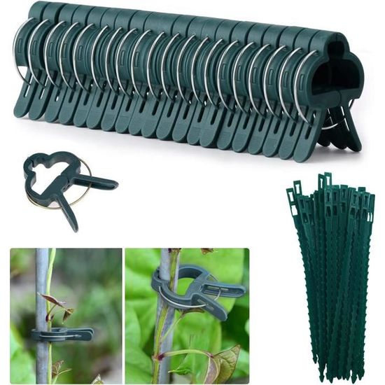 6pcs 25x40cm Jardin Plantes Support Pile Anneau Cage Avec 20 Attaches De Plantes, Métal Demi - Cercle Anneau Végétal Pour Pivoine, Hortensia, Tomate, Rose 6pcs 25x40cm Jardin Plantes Support Pile Anneau Cage Avec 20 Attaches De Plantes, Métal Demi - Cercle Anneau Végétal Pour Pivoine, Hortensia, Tomate, Rose