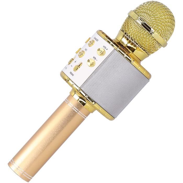 1 Ensemble Microphone Karaoké pour Enfants - Microphone pour Enfants avec * * Microphone pour Enfants avec Impression Aléatoire et Support, Microphone Analogique pour Karaoké, Jouets de * pour Enfants