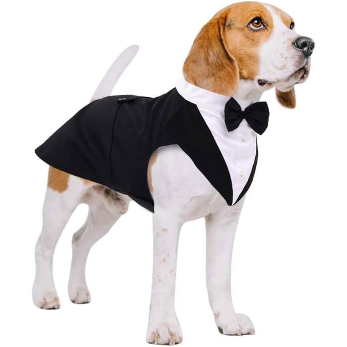 Meilleurs prix pour Costume chien smoking mariage bandana nœud papillon chemise cérémonie grand moyen chien Label