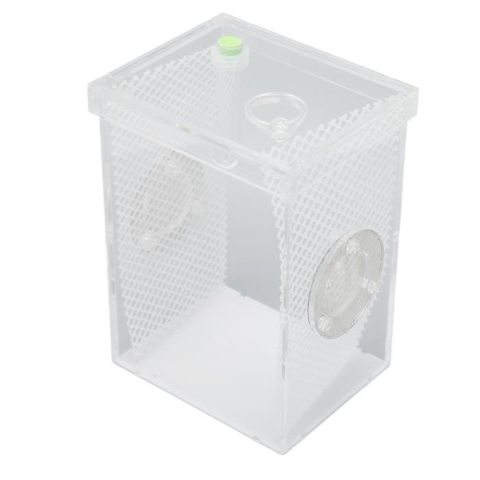 Terrarium Pour Reptiles En Acrylique - 30x18x15 Cm - Fermeture Magnétique, Aération - Pour Tarentules, Geckos, Scorpions