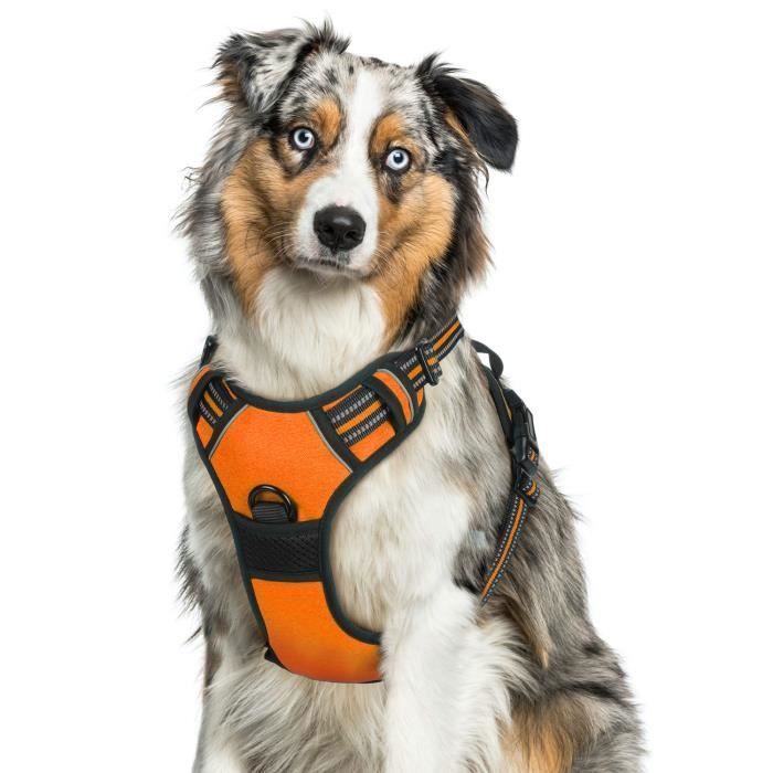 Harnais Chien/Harnais pour grand chien- Orange taille L -- Anti Traction  Réglable Réfléchissant Matériau Respirant - Cdiscount