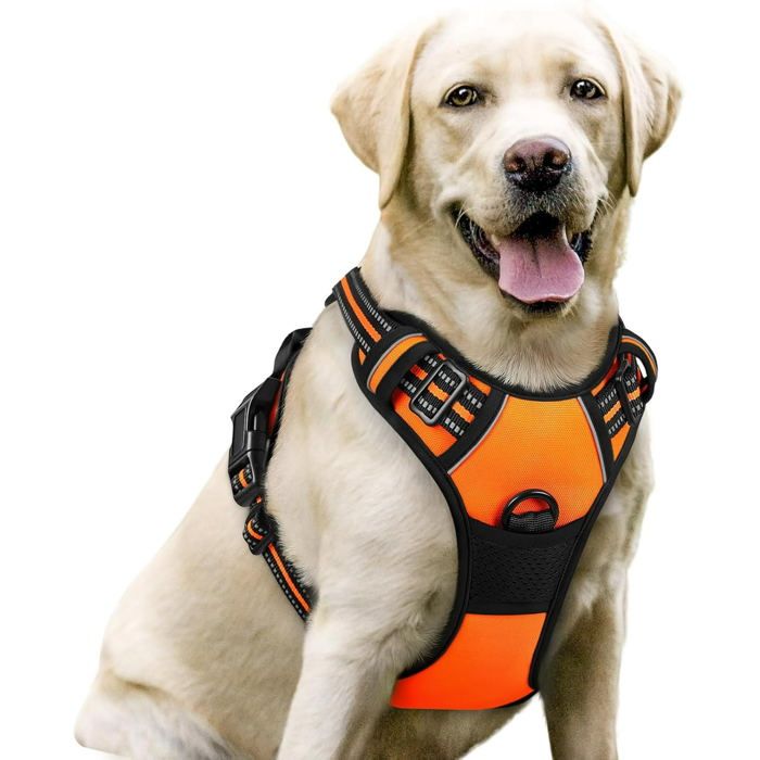 Harnais Chien/Harnais pour grand chien Orange taille L Anti Traction Réglable Réfléchissant
