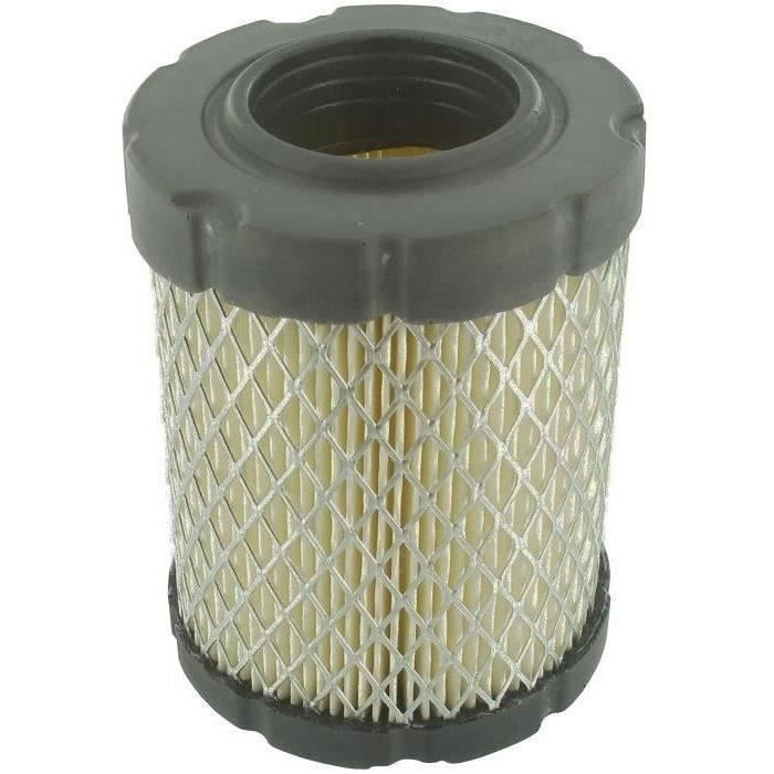 Filtre à air BRIGGS ET STRATTON 796032