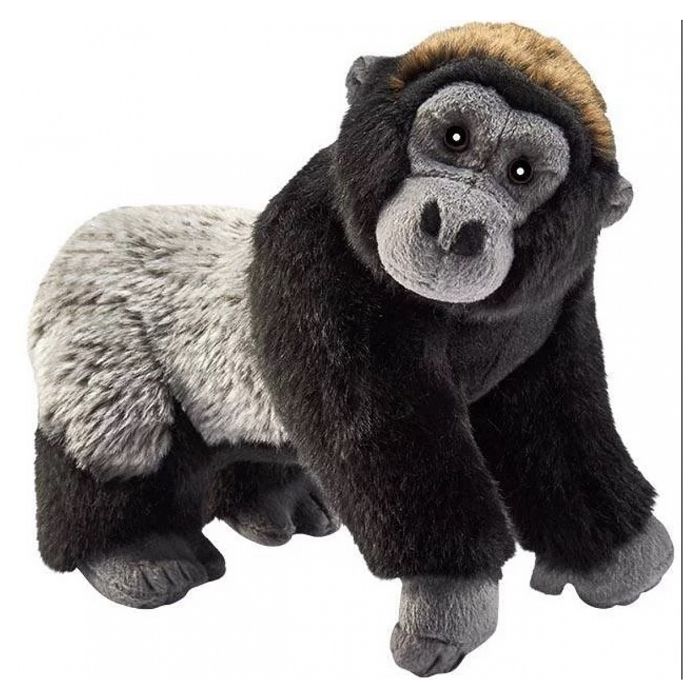 Peluche Chat Siamois Couche 30cm Achat Vente Peluche Cdiscount Peluche Chat Siamois Couche 30cm Achat Vente Peluche Cdiscount