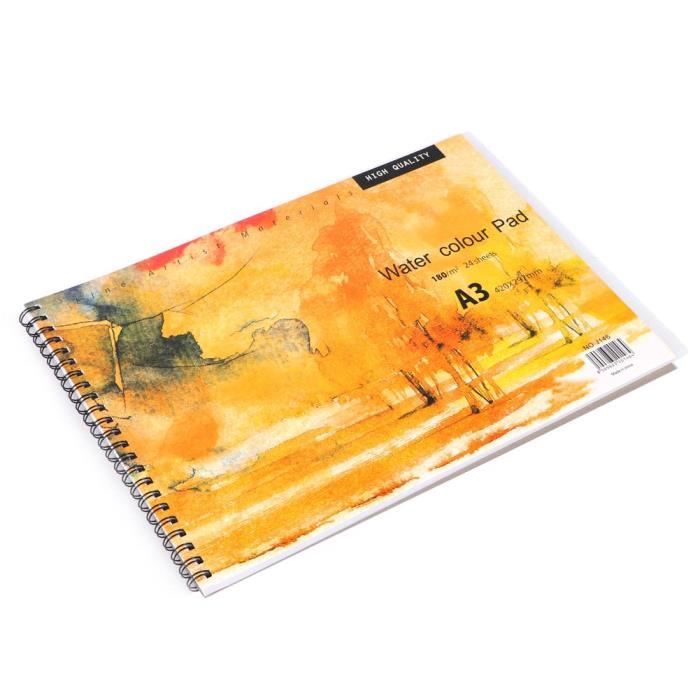 CANSON Bloc de papier aquarelle Montval, A3, 100 feuilles